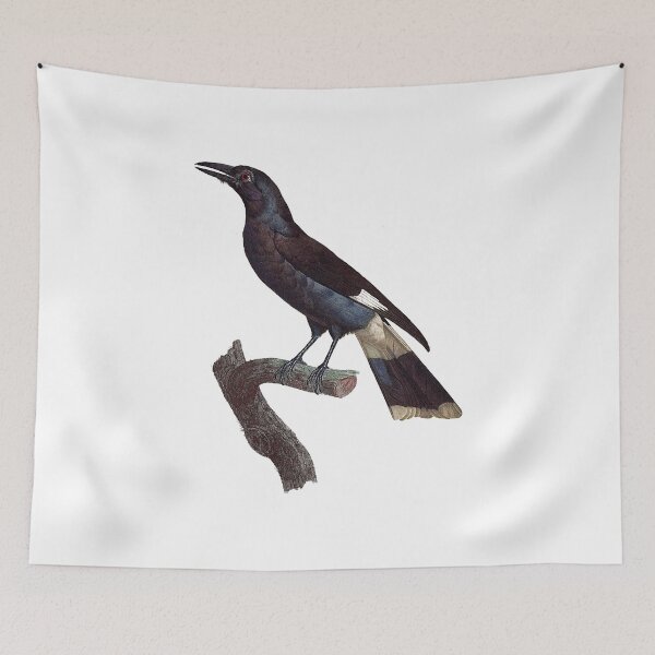 Item preview, Pied currawong designed and sold by Photopicture.
