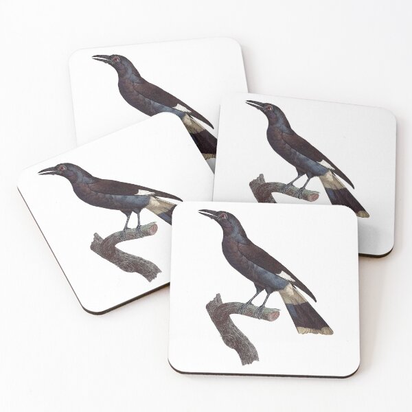 Item preview, Pied currawong designed and sold by Photopicture.