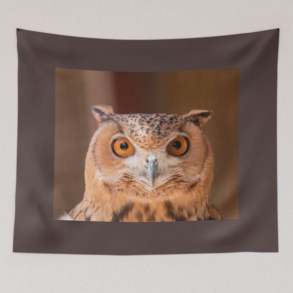 Item preview, An owl with piercing eyes designed and sold by Itsgrimupnorth.