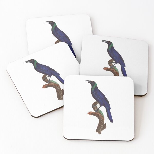 Item preview, Black currawong designed and sold by Photopicture.