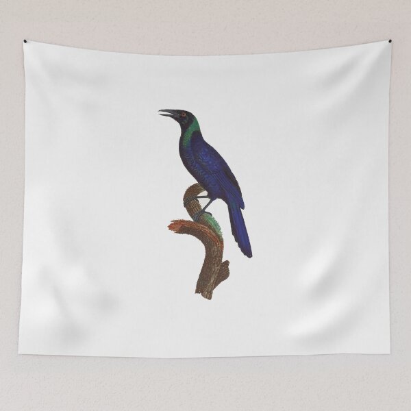Item preview, Black currawong designed and sold by Photopicture.