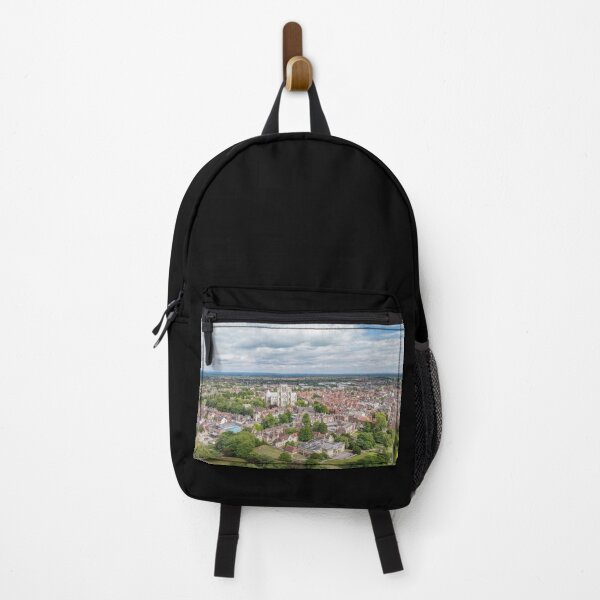Item preview, York Museum Gardens and York Minster Cathedral England North Yorkshire in Summer designed and sold by skyfilming.