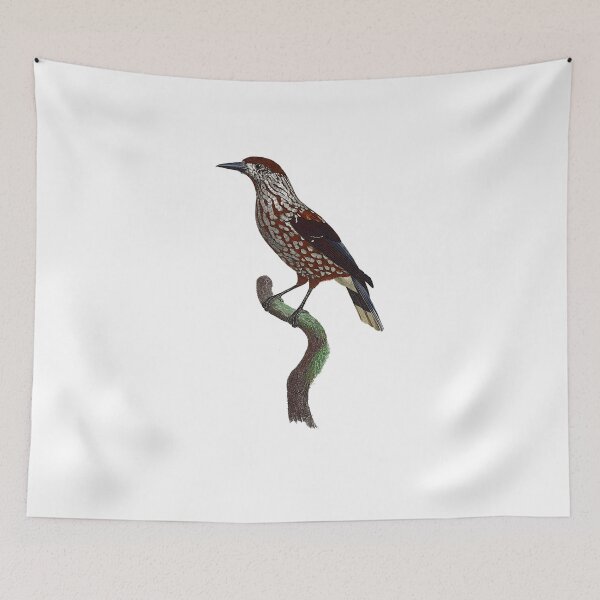 Item preview, Spotted nutcracker designed and sold by Photopicture.