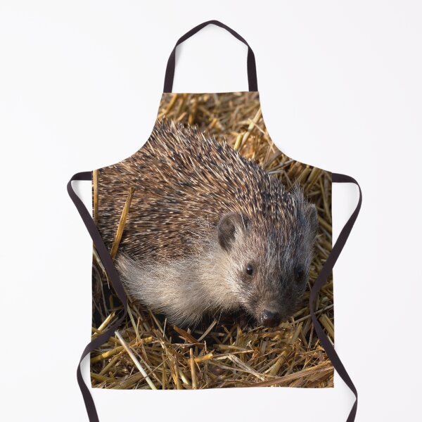 Item preview, European Hedgehog designed and sold by Mythos57.