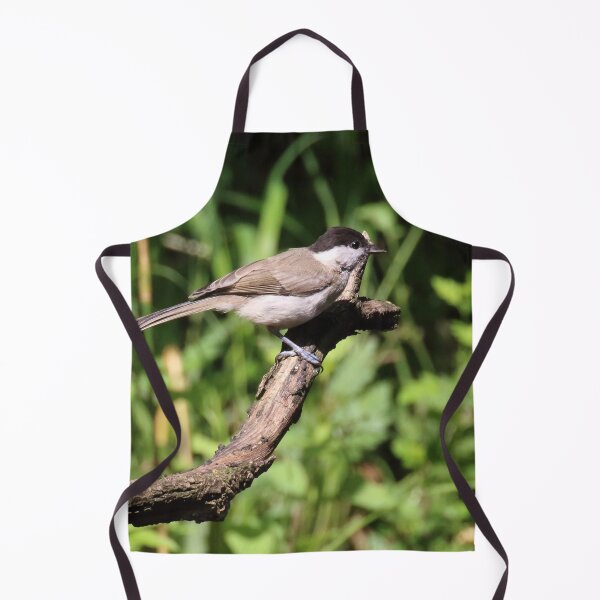 Item preview, Sylvia atricappila (male) designed and sold by Mythos57.