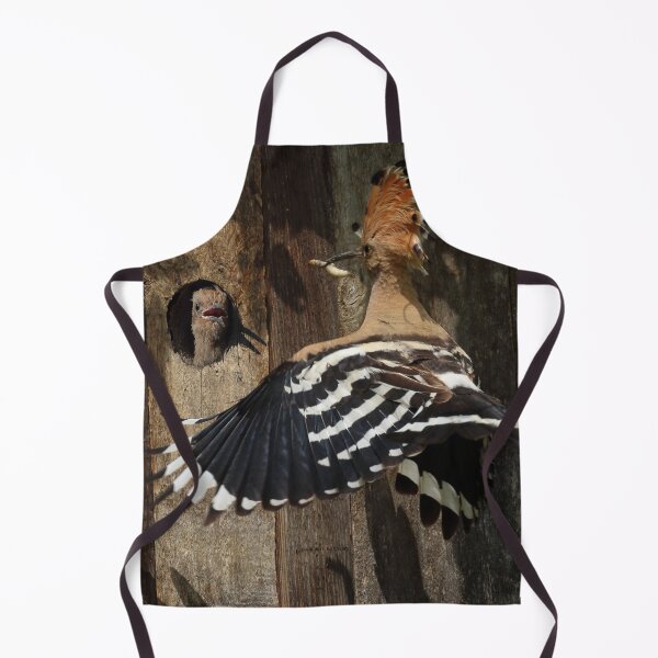 Item preview, Hoopoe Feeding Nestling designed and sold by Mythos57.