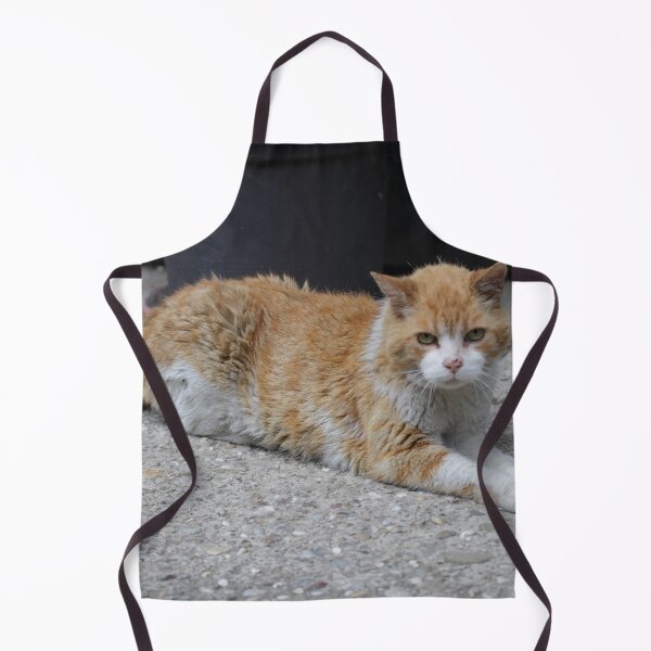 Item preview, Heinz, 22 designed and sold by Mythos57.