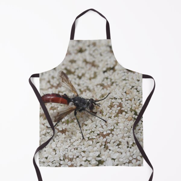 Item preview, Cylindromyia bicolor designed and sold by Mythos57.