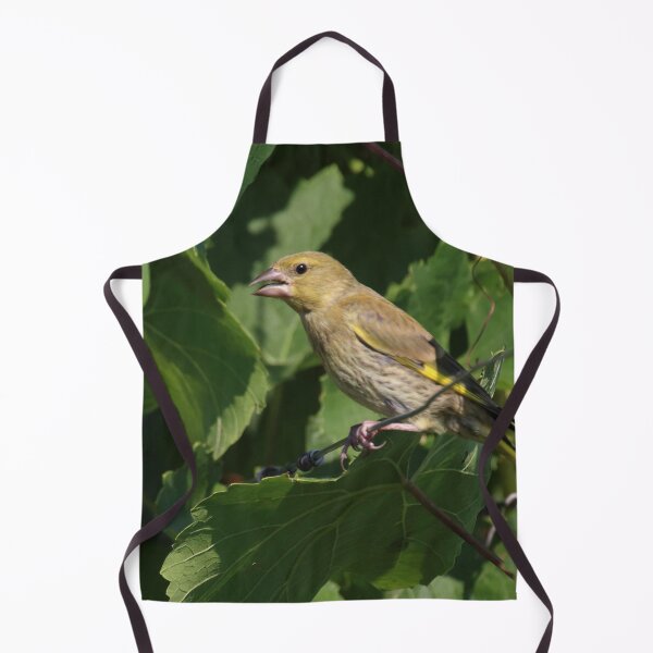 Item preview, Chloris chloris designed and sold by Mythos57.