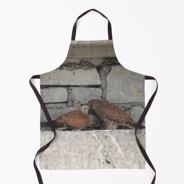 Item preview, Falco tinnunculus designed and sold by Mythos57.
