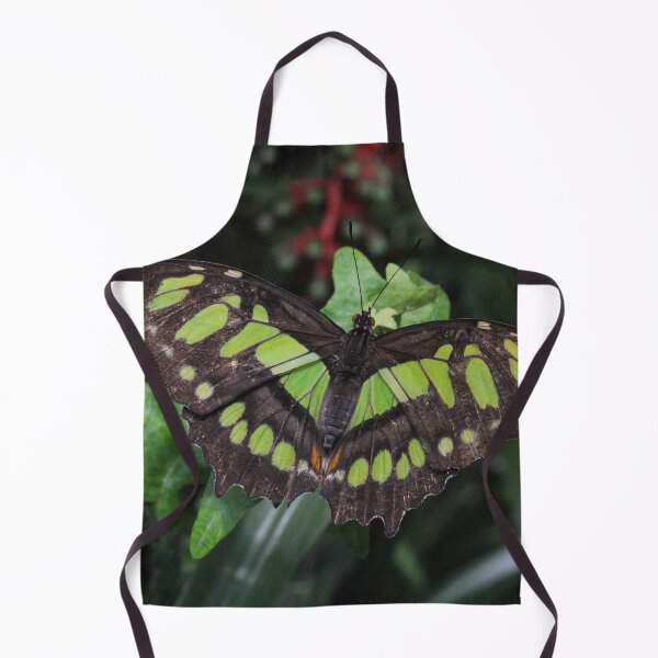 Item preview, Siproeta stelenes designed and sold by Mythos57.