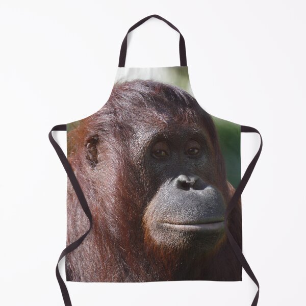 Item preview, Pongo pygmaeus designed and sold by Mythos57.