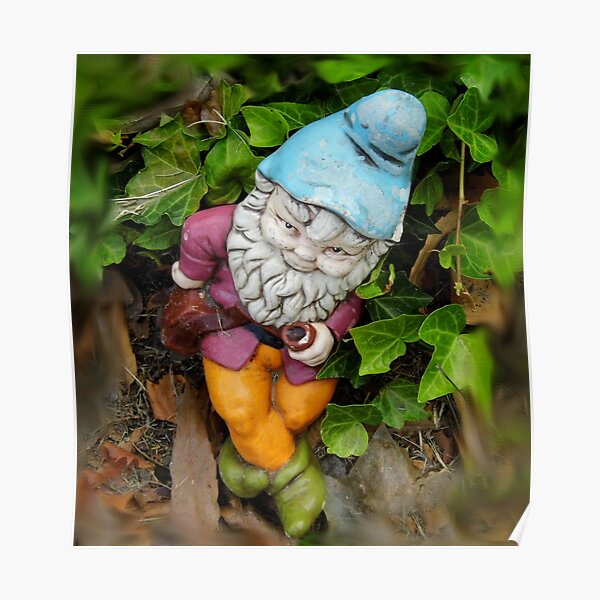 Download Garden Gnome Posters Redbubble