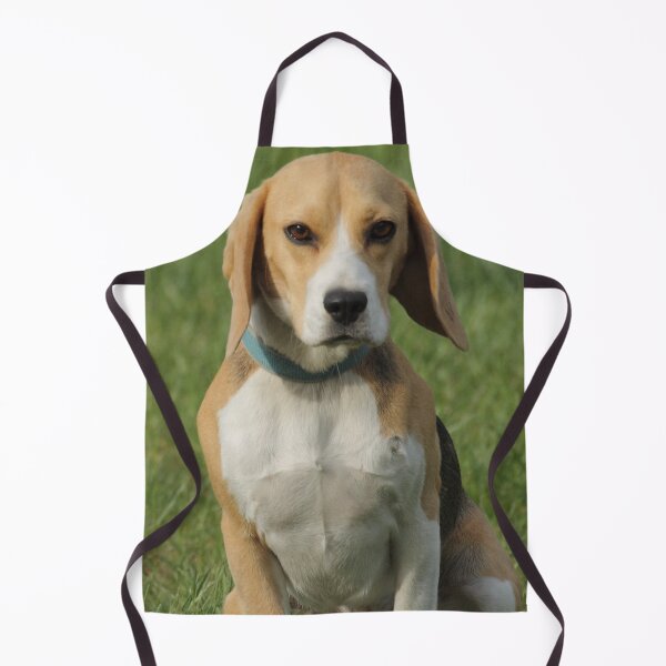 Item preview, Young Beagle designed and sold by Mythos57.