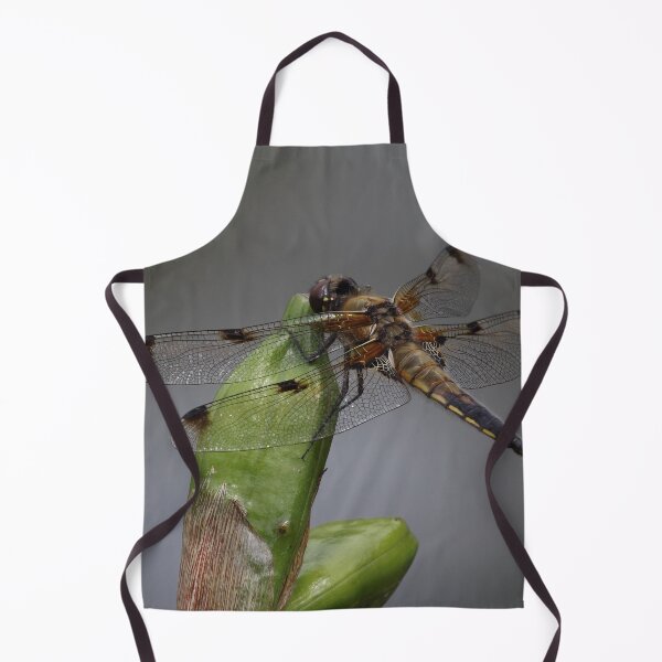 Item preview, Libellula quadrimaculata designed and sold by Mythos57.