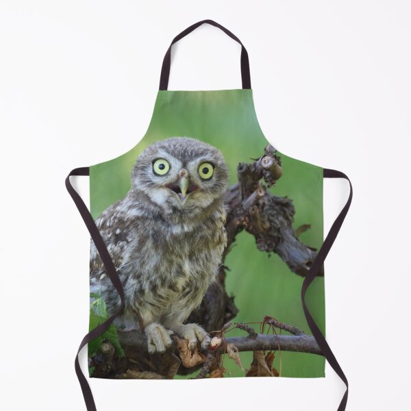 Item preview, Athene noctua designed and sold by Mythos57.