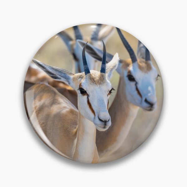Item preview, Springbok Huddle 2 designed and sold by AnthonyZed.