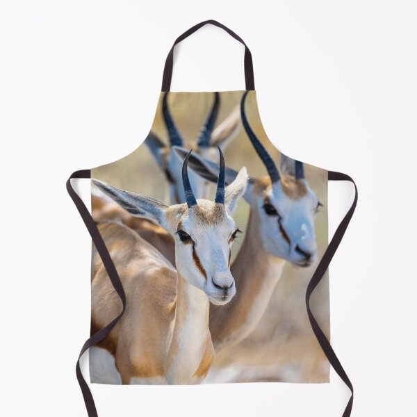 Item preview, Springbok Huddle 2 designed and sold by AnthonyZed.