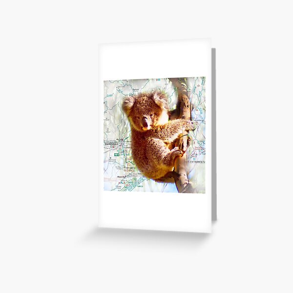 Item preview, Young Koala on Raymond Island designed and sold by Yukondick.