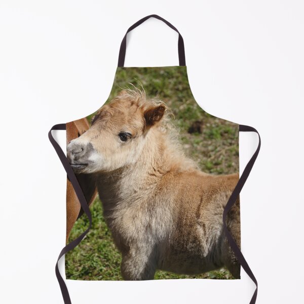 Item preview, Haflinger Foal designed and sold by Mythos57.