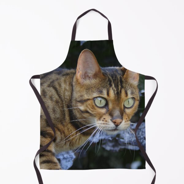 Item preview, Beauty Sneaking Up designed and sold by Mythos57.