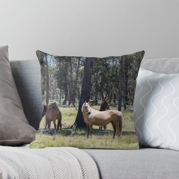 Item preview, Brumbies in the Sun designed and sold by Laura Sykes.