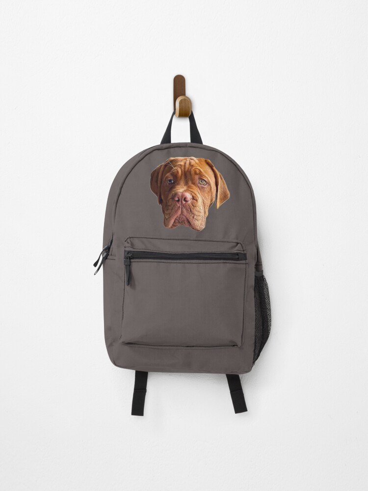 French clearance bulldog backpack