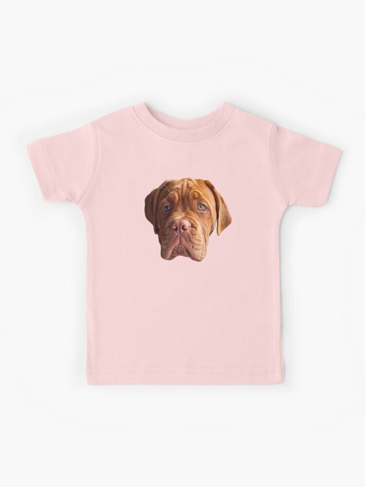 Dogue de bordeaux with 2024 kids