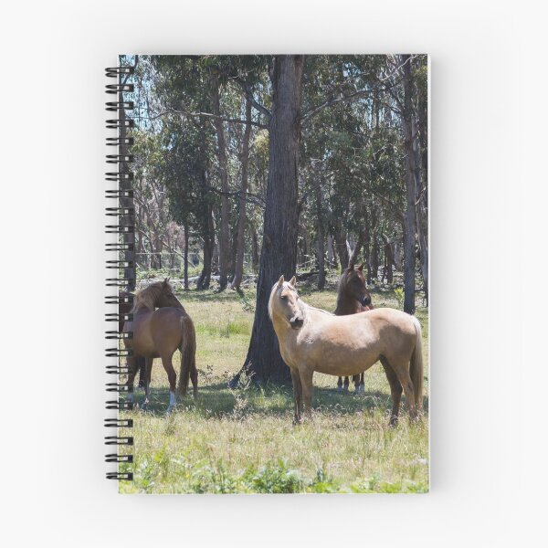 Item preview, Brumbies in the Sun designed and sold by Laura Sykes.