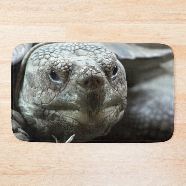 Item preview, Spur Thighed Tortoise designed and sold by MoonsmileProd.