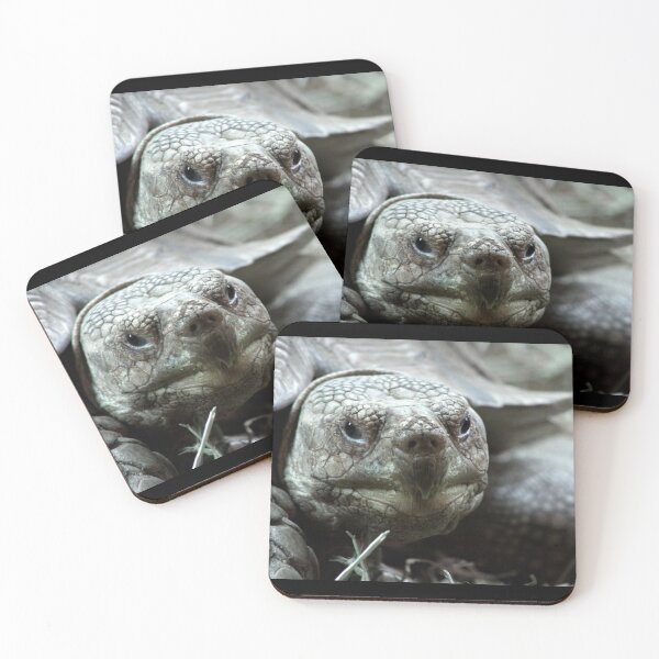 Item preview, Spur Thighed Tortoise designed and sold by MoonsmileProd.