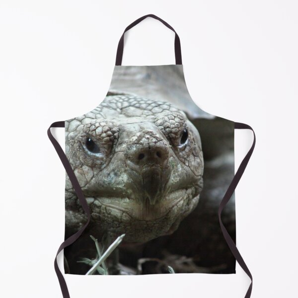 Item preview, Spur Thighed Tortoise designed and sold by MoonsmileProd.