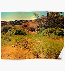 Charons Garden Wilderness Poster