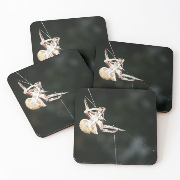 Item preview, Web Work designed and sold by Anthony  Hoiland.