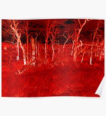 Crimson Forest Poster