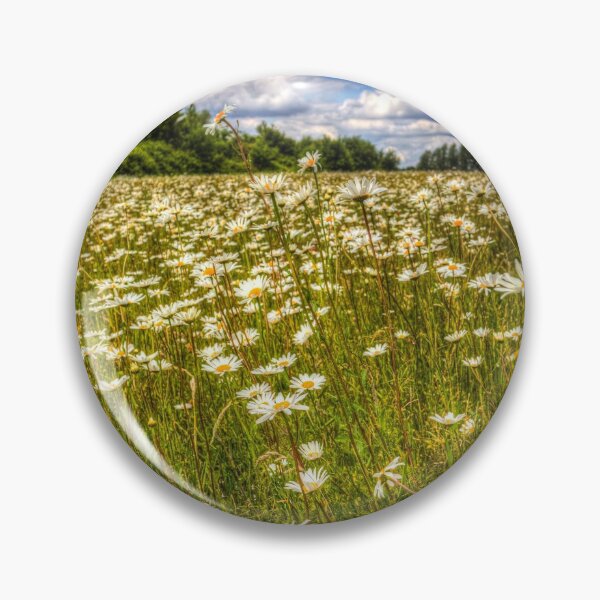 Item preview, Summer Daisy Field designed and sold by Londonimages.