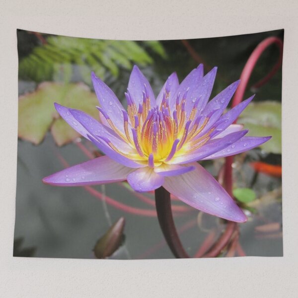 Item preview, Purple Water Lilly  designed and sold by tammyschroder.
