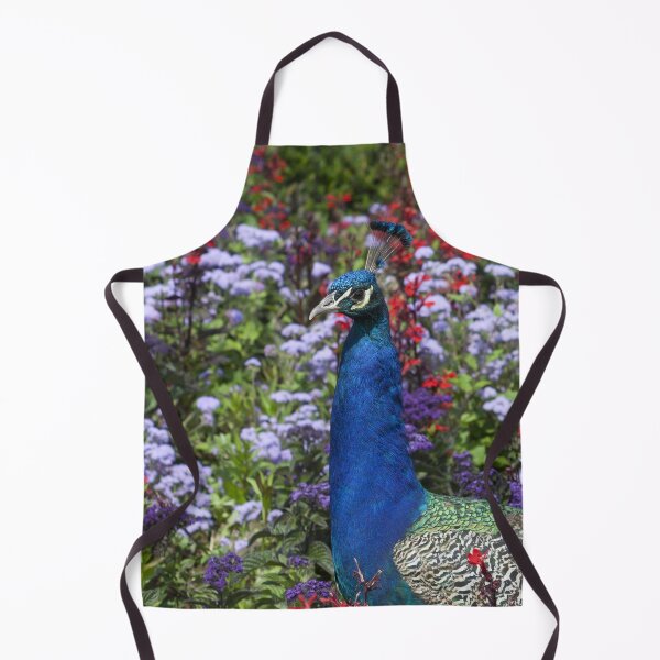 Item preview, Pavo cristatus designed and sold by Mythos57.