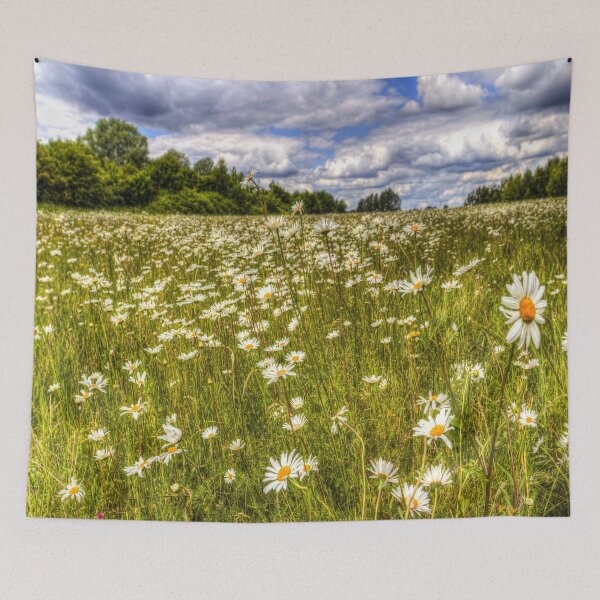 Item preview, Summer Daisy Field designed and sold by Londonimages.