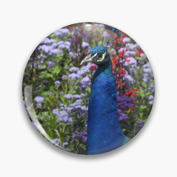 Item preview, Pavo cristatus designed and sold by Mythos57.