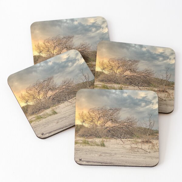 Item preview, The Burning Bush designed and sold by Kathy Baccari.