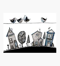 Bird song Photographic Print