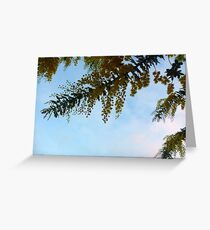 292/365 uplifting Greeting Card