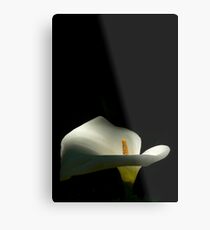 I Want To Be Alone Metal Print