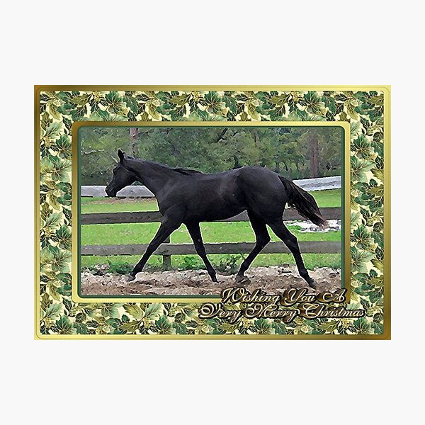 Aperçu de l'œuvre Carte de Noël vierge Quarter Horse créée et vendue par Oldetimemercan.