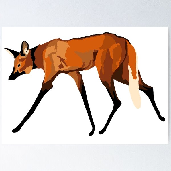 therian  Cute wallpapers, Furry, Maned wolf