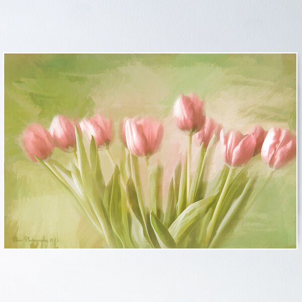 Aperçu de l'œuvre Tulip Bouquet créée et vendue par shuttermom.