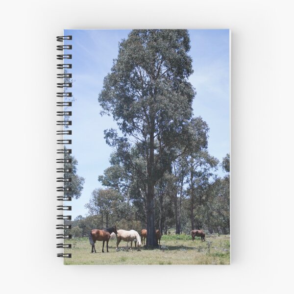 Item preview, Brumbies in the Sun designed and sold by Laura Sykes.