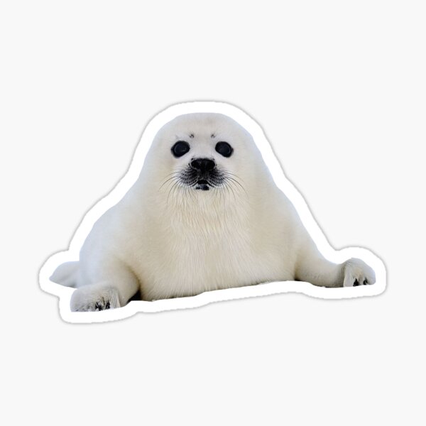 Polar Bear Stickers - Sweet Birdie Boutique, Gift Shop for Stationery  Lovers – Sweet Birdie Boutique (International)