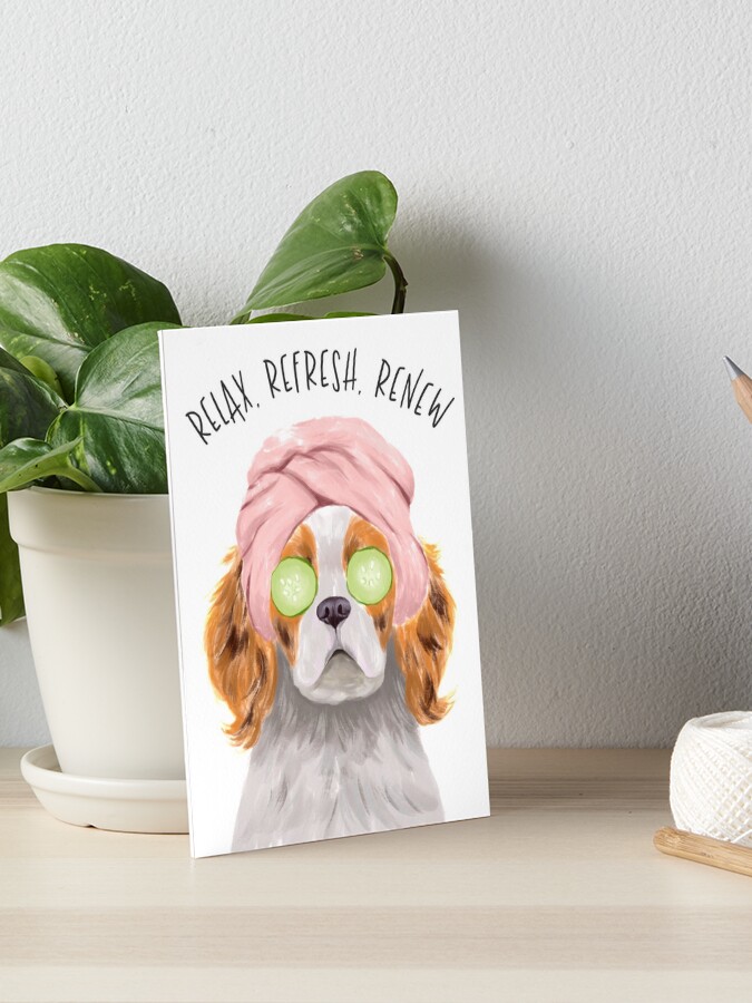 Relax Refresh Renew Spa Dog